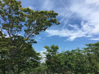 比良山系の山からの天気の良い日の景色
