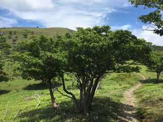 比良山系の山からの天気の良い日の景色