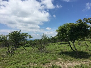 比良山系の山からの天気の良い日の景色