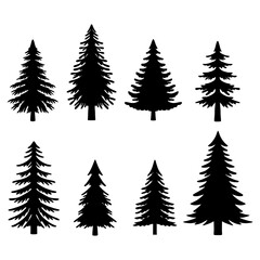 Isolated Pine on the white background. Pine silhouettes. Tree hand drawn. Vector EPS 10