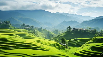 Fotobehang Green terraced rice fields stretch endlessly to the Thai horizon, forming a breathtaking vista that showcases the beauty and tranquility of traditional agricultural landscapes.  © Iamnee