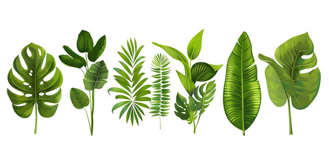 Tropical leaves on transparent background PNG - obrazy, fototapety, plakaty