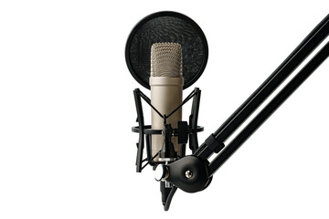 Professional studio microphone on the white background