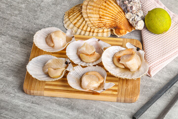 Raw natural scallop in its shell