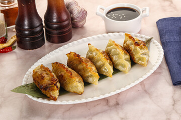 Fried Japanese stuffed dumplings - Gyoza