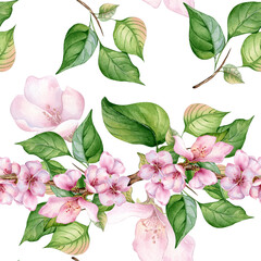 Blooming branch of apple tree with pink flowers seamless pattern watercolor isolated on white. Blossom fruit tree branch hand drawn. Design element for packaging, backdrop, wallpaper, textile