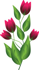 Fototapeta na wymiar illustration of red color bouquet flower vector design on a white background
