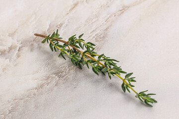 Aroma seasoning thyme stem with leaves