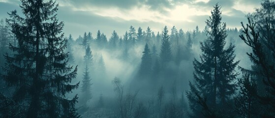 A dark forest with trees and fog. Generative AI.