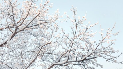 Fototapeta na wymiar Winter tree branches. Generative AI