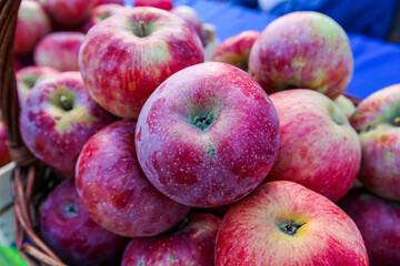 Fototapeta na wymiar apples Almaty aport remained in the cart