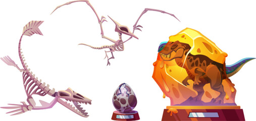 Exhibits of archaeological prehistory museum - dinosaur skeletons, recreated animal and cracked egg on stand. Cartoon vector illustration collection of paleontology exhibition dino bones and artefacts © klyaksun