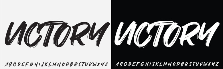 signature Font Calligraphy Logotype Script Brush Font Type Font lettering handwritten