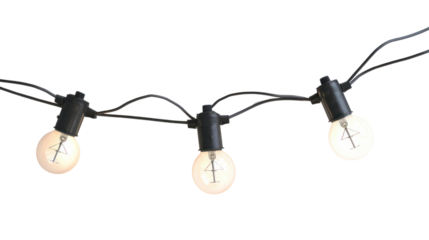 string wired bulbs isolated on transparent and white background.PNG image