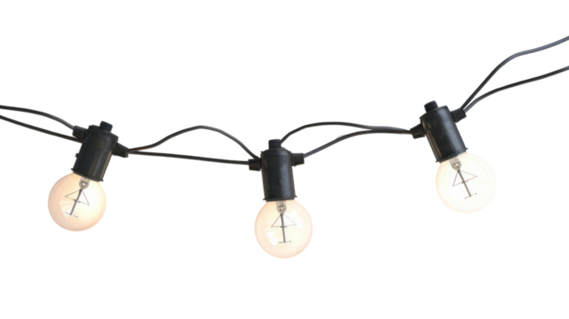 string wired bulbs isolated on transparent and white background.PNG image