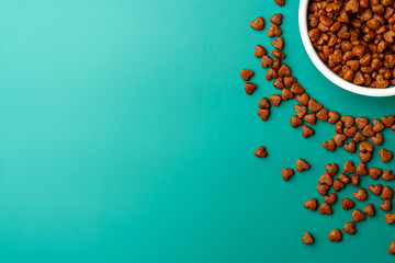 Bowl of dry pet food on green background
