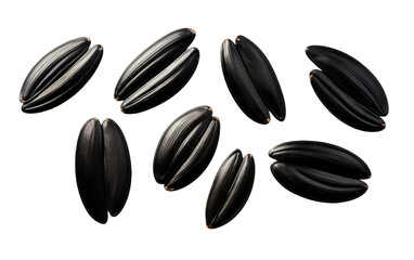A Bunch of Black Sunflower Seeds. A photo featuring a gathering of black sunflower seeds arranged neatly. on a White or Clear Surface PNG Transparent Background.