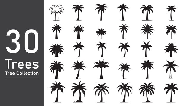 Black palm trees icon set isolated on white background. Palm silhouettes.