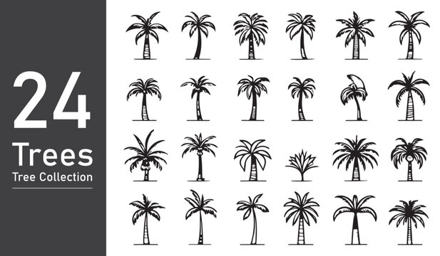 Black palm trees set isolated on white background. Palm silhouettes.