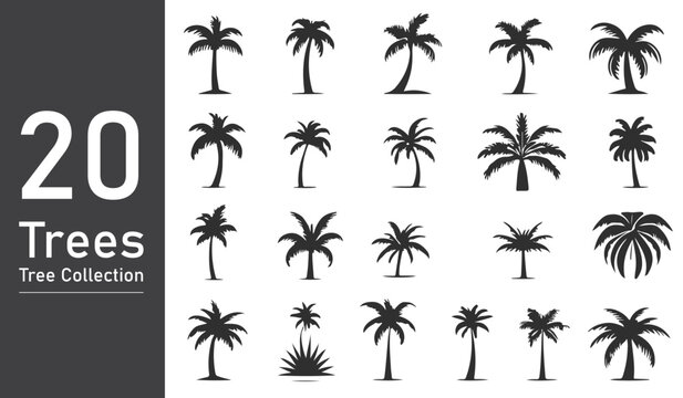 Black palm trees set isolated on white background. Palm silhouettes.