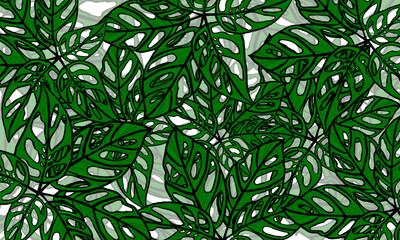 colorful tropical leaves spring nature wallpaper background