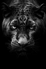 Tuinposter Black Panther face hand drawn realistic style on transparent background. © PNGstock