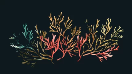Papier Peint photo Lavable Papillons en grunge Coral. Underwater plant. Vector illustration.