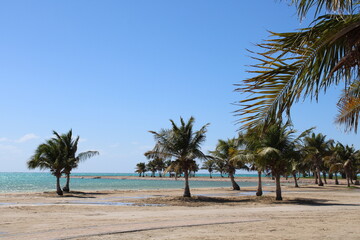 Beautiful daytime view of Royal Commission Beach in Yanbu, Saudi Arabia.