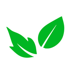 Leaf illustration vector