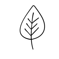 leaf line icon