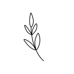 Obraz premium Floral ornament hand drawn