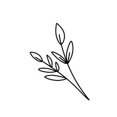 Obraz premium Floral ornament hand drawn