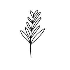 Floral ornament hand drawn