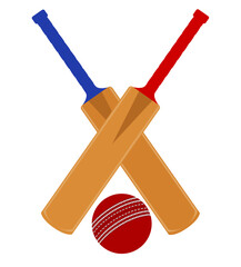 cricket bat and ball for a sports game stock vector illustration