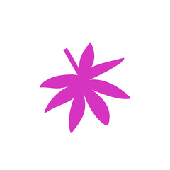 Tropical leaves illustration