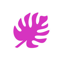 Tropical leaves illustration