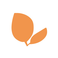 Tropical leaves illustration