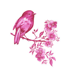 Pink robin bird sitting on a branch in Toile de Jouy fabric style. Hand drawn monochrome watercolor painting illustration isolated on white background