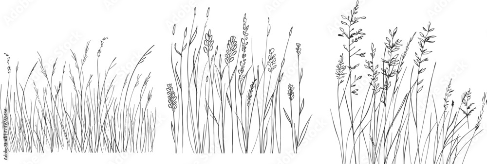 Poster abstract meadow line with grass. continuous one line drawing