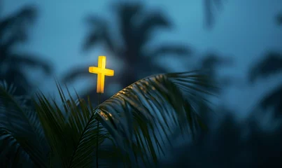 Fototapeten Glowing Christian cross among palm branches at dusk. © Honey Bear