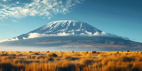 Velours gordijnen Kilimanjaro Iconic Mount Kilimanjaro rises majestically above the vast African savannah landscape. Concept Travel, Nature, Africa, Landscapes, Mount Kilimanjaro