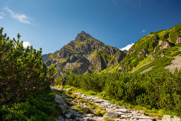 Fototapeta na wymiar Tatra mountain, Poland. Kościelec peak