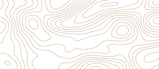 Abstract wave paper curved reliefs background .gradient multicolor wave curve lines banner background design .topographic contours map background .Vector geographic contour map. - obrazy, fototapety, plakaty