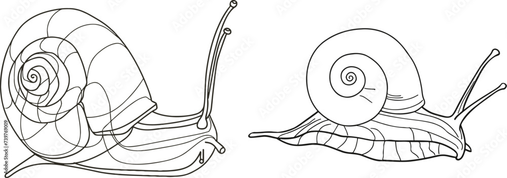 Poster one line drawing of isolated vector object - snail