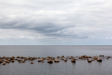 View of the tetrapods with the horizon at the seaside