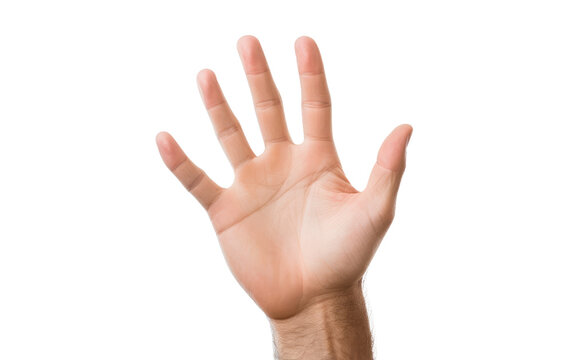 A persons hand reaching up into the air. on a White or Clear Surface PNG Transparent Background.