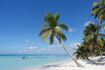 Tropical paradise beach with white sand and coco palms,  travel tourism. Caribbean beach. - 739772026