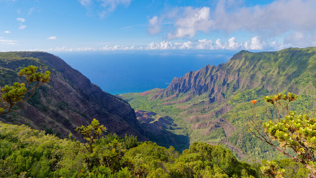 View over the amazing Kalalau Valley and Na Pali Coast from the Kalalau Lookout, Kokee State Park State Park on the Island of Kauai, Hawaii