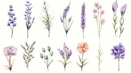 Fototapeta na wymiar lavender white background