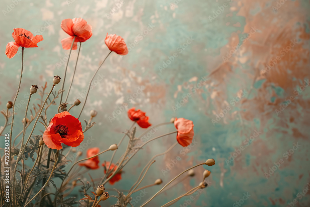 Poster closeup of poppy flowers in front of a wall. a slide background showcasing the beauty and uniqueness